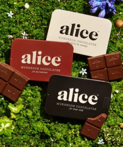 alice mushrooms chocolate