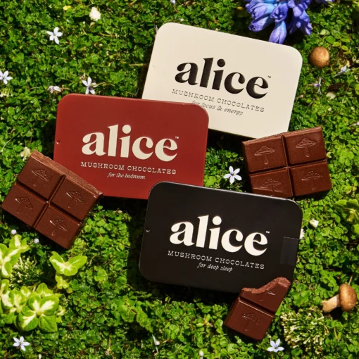 alice mushrooms chocolate